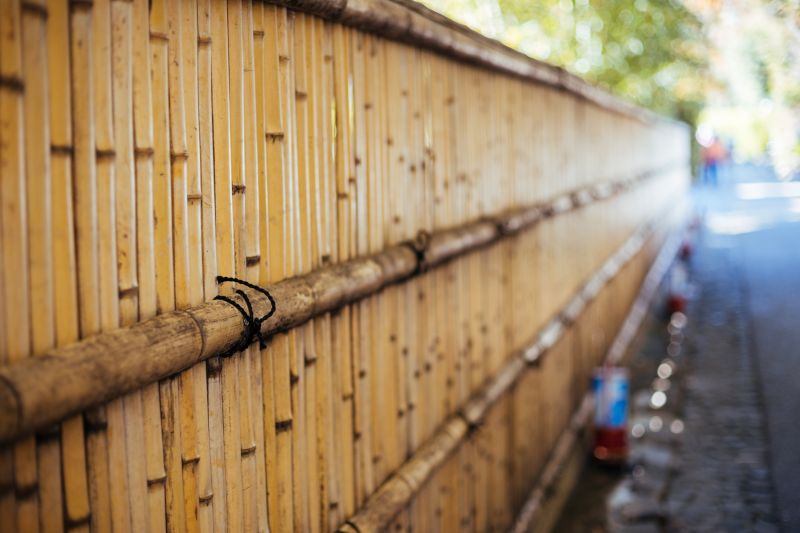 Privacy Bamboo Fence