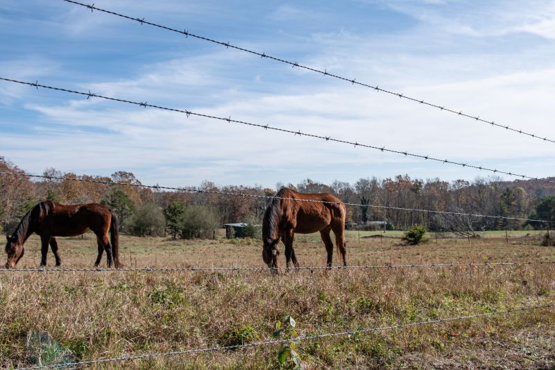 Pasture Fence Installation