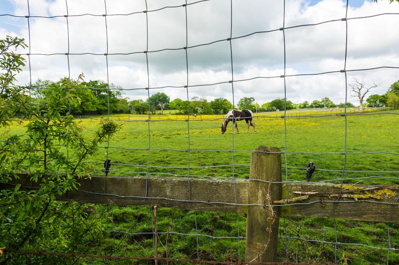 Pasture Fence Installation Costs — Cost of Pasture Fence Installation