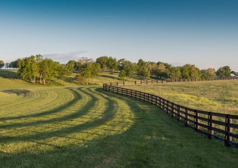 Completed Pasture Fence