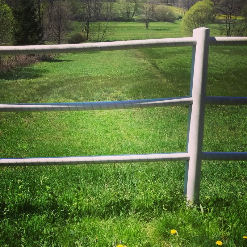 Completed Fence with Livestock