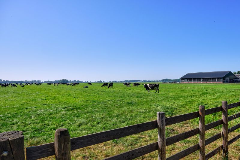 Livestock Grazing Readiness