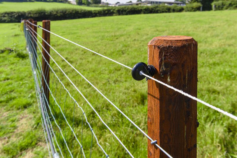 Customized Fencing Solutions